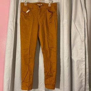 Women’s pants